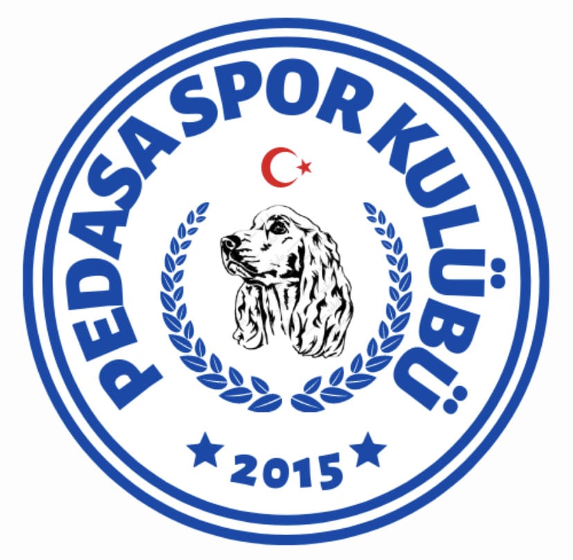 PEDASA FUTBOL SPOR KULÜBÜ